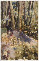 KT 2247
          <br/>
          In een bos
          <br/>
          <em>Bol-Smit, Elizabeth (1904 - 1987)</em>